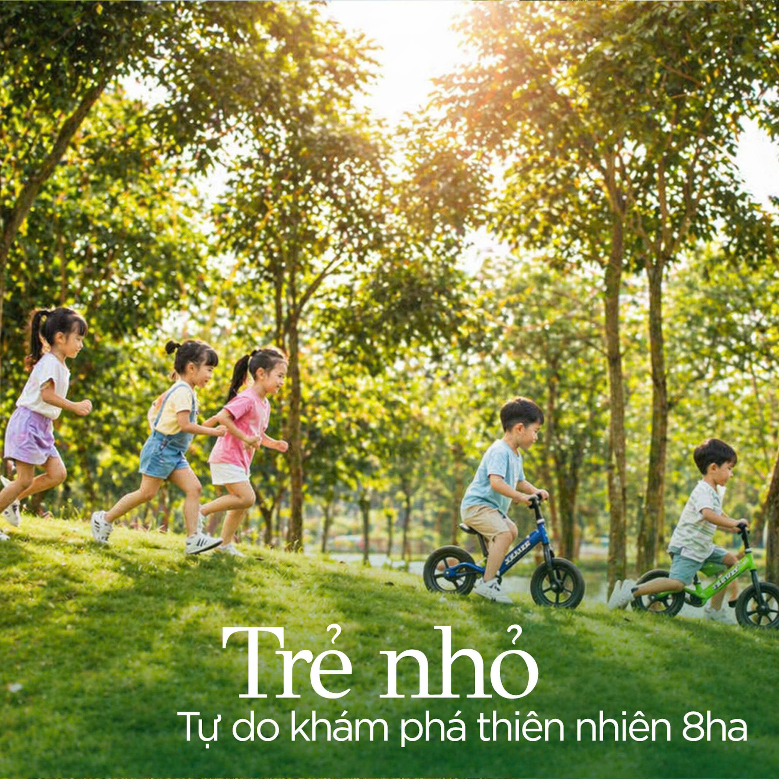 Tiện ích Bạch Vân